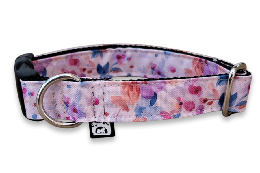 Collier imperméable Pawsy