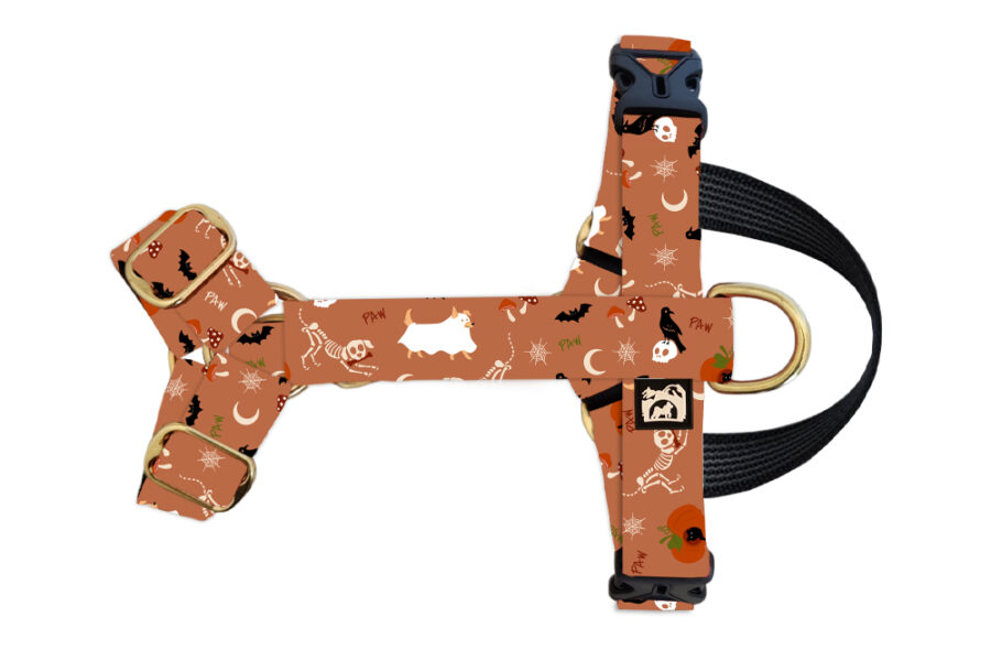 Harnais imperméable pour chien Boo(p)