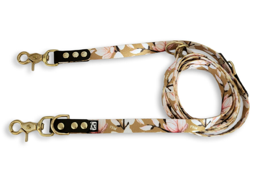 Laisse multi-positions Magnopaw